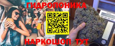 jwh Кимры
